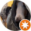 yungshing teng profile picture